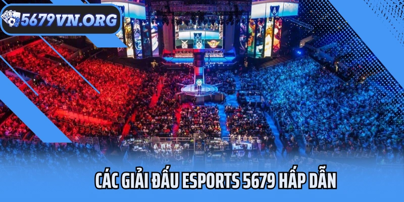Các giải đấu Esports 5679 hấp dẫn