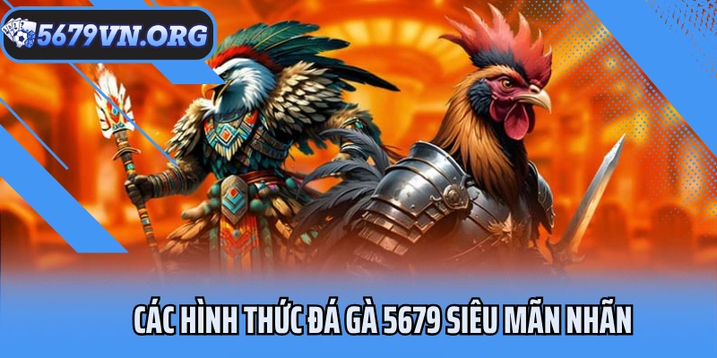 Các hình thức đá gà 5679 siêu mãn nhãn