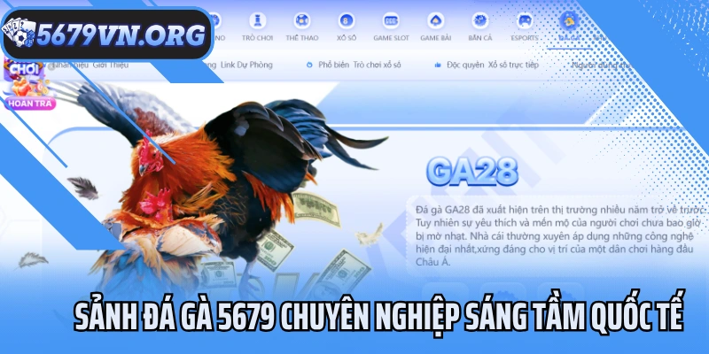 Sảnh đá gà 5679 chuyên nghiệp sáng tầm quốc tế